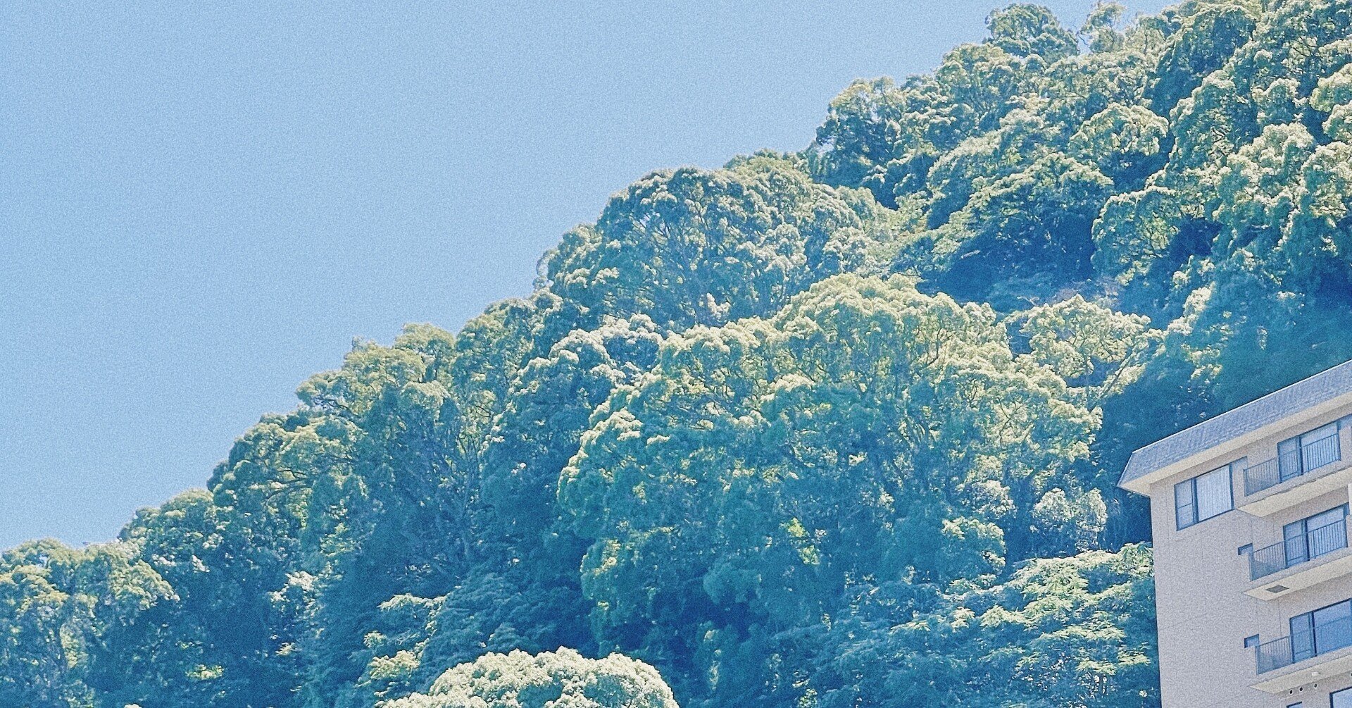 n712d1d6dac7b_08582d80defa0aed3efcca784ef8d286.jpg
